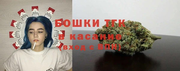 дживик Елизово