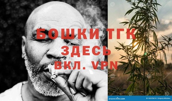 дживик Елизово