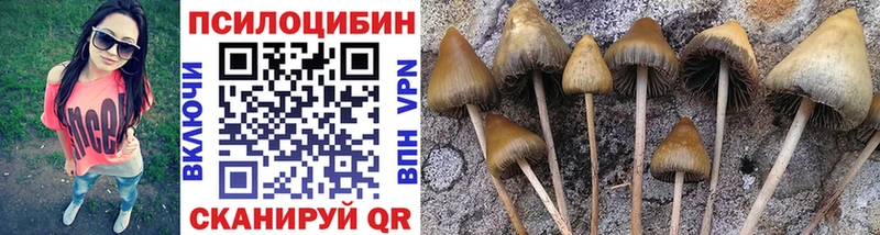 Псилоцибиновые грибы MAGIC MUSHROOMS  Купить закладки  Нелидово 